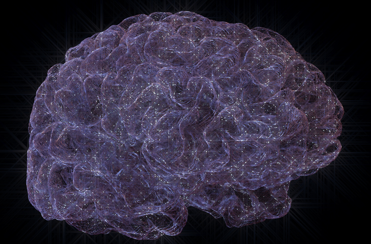Brain animation