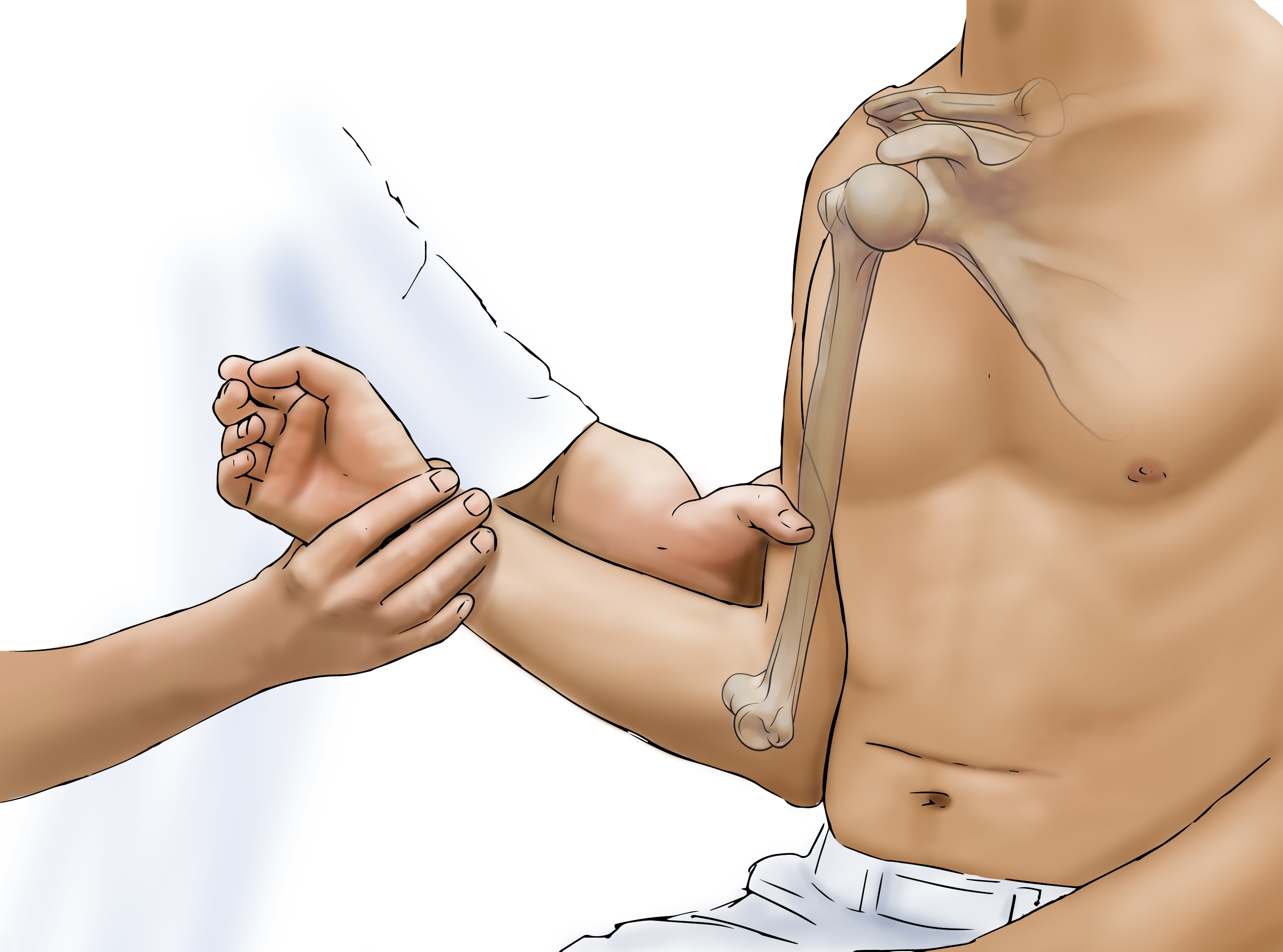 Shoulder Tests