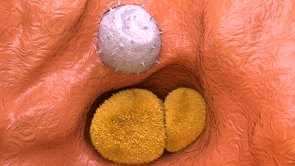 Macrophage in lungs SEM image medical illustration